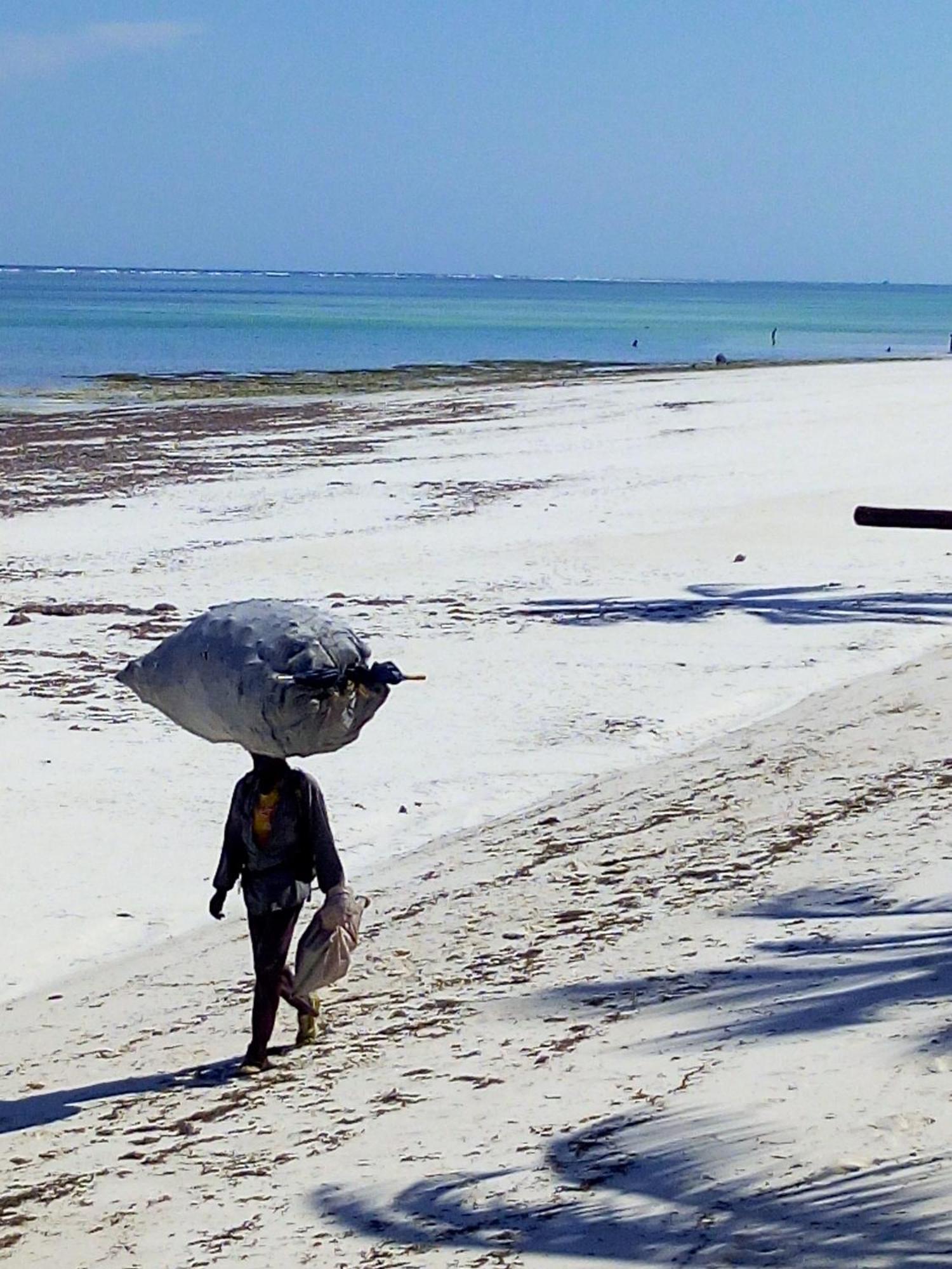 Aqua Resort Diani Beach Dış mekan fotoğraf